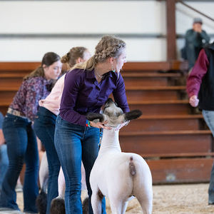 Meet your Posher, Ella